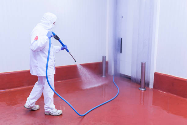 Paint Preparation in Tumwater, WA