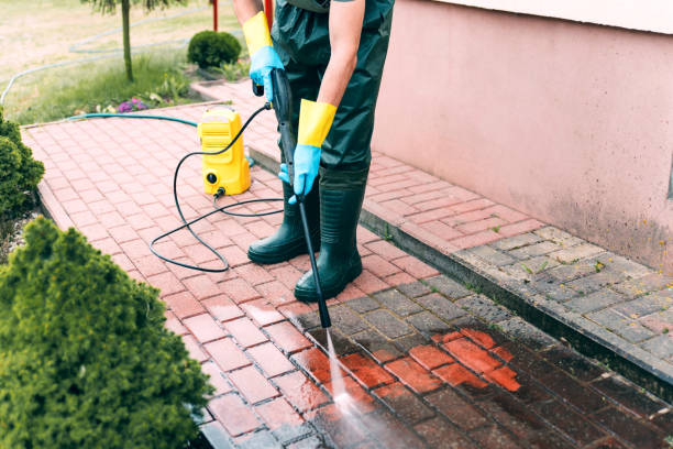 Animal Enclosure Cleaning in Tumwater, WA